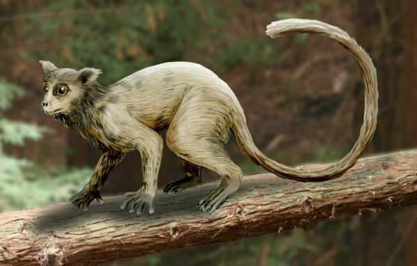 An artists depiction of Necrolemur.  By Nobu Tamura (http://spinops.blogspot.com).  Creative Commons License
